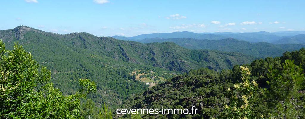 Immobilier Cevennes