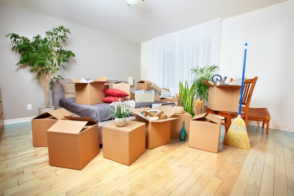 Guide ultime pour acheter un mobil home neuf